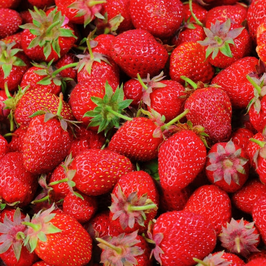 Strawberry Ripe Flavor by TFA/TPA