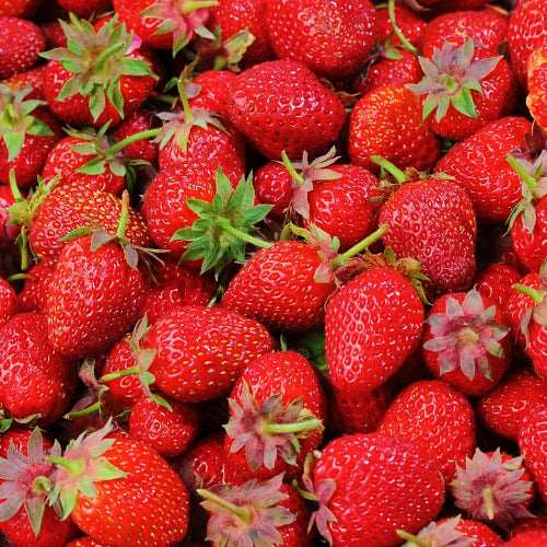 Sweet Strawberry Flavor by TFA/TPA