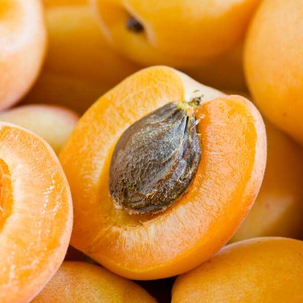 Apricot Flavor by TFA/TPA